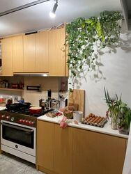 Blk 11 Holland Vista (Queenstown), HDB 3 Rooms #572936331